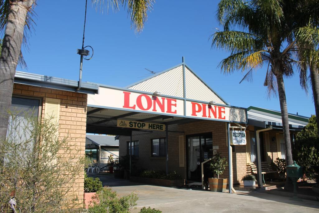Lone Pine Motel Кореве Екстер'єр фото