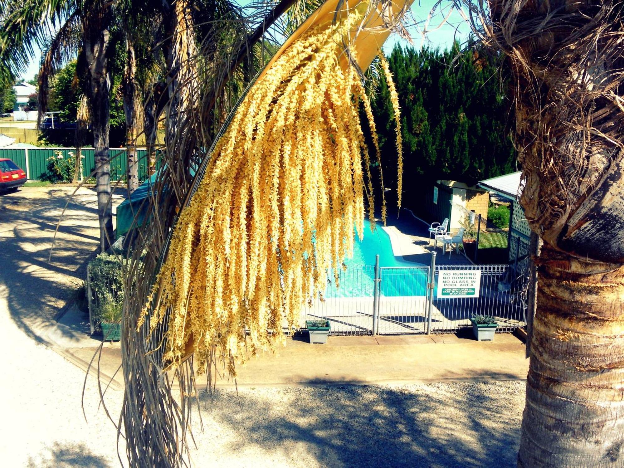 Lone Pine Motel Кореве Екстер'єр фото